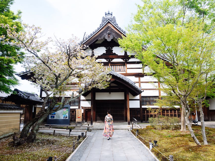 A woman in kimono explores a historic temple in Kyoto, Japan, amidst blossoming cherry trees.