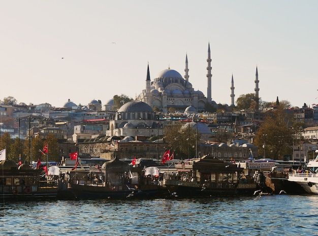 Lanscape of the Old Town in Istanbul Turkey