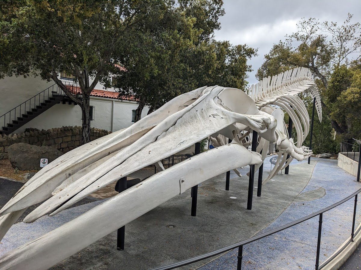 Santa Barbara Museum of Natural History
