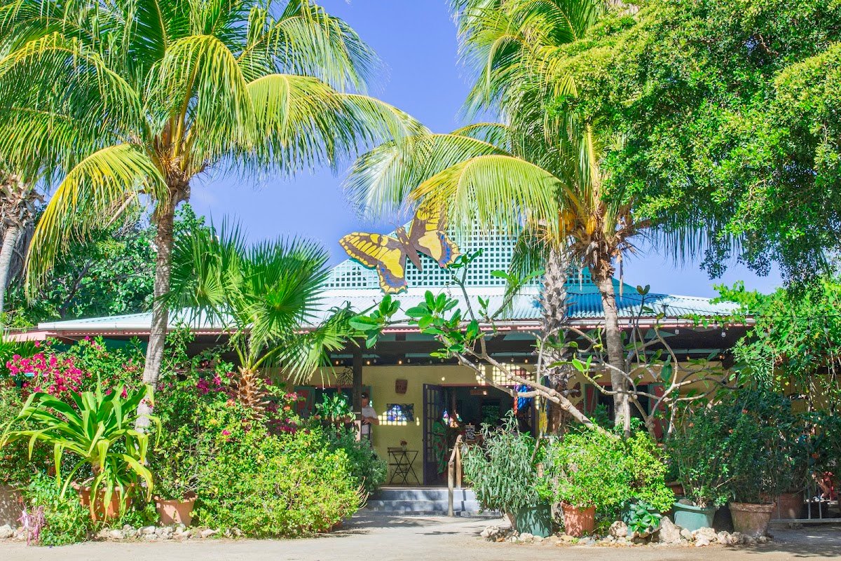 The Butterfly Farm Aruba