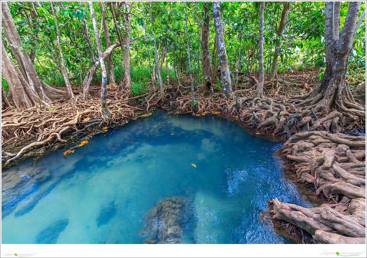 Thapom Klong Song Nam