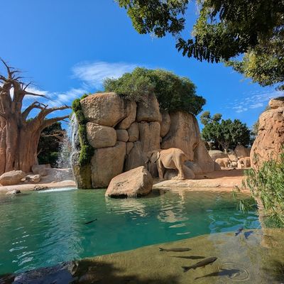 Bioparc Valencia