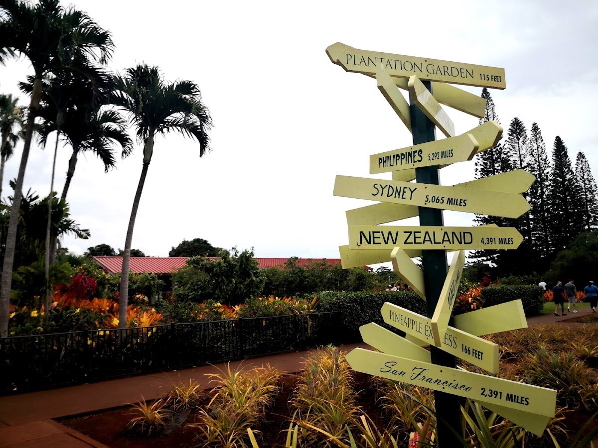 Dole Plantation