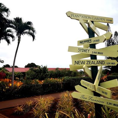 Dole Plantation