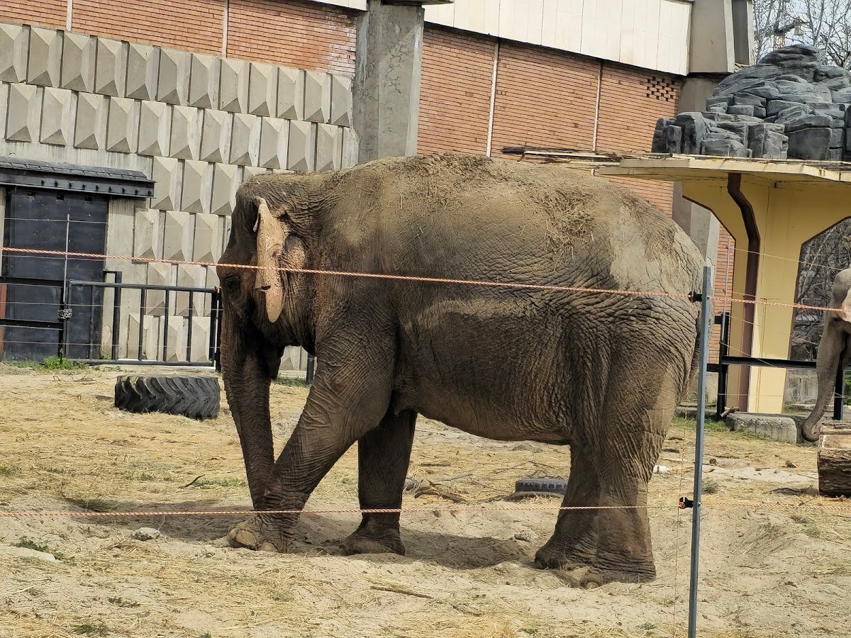 The Sofia Zoo
