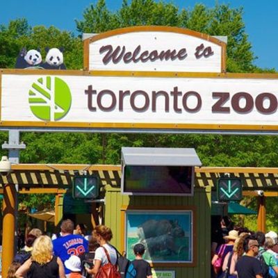 Toronto Zoo
