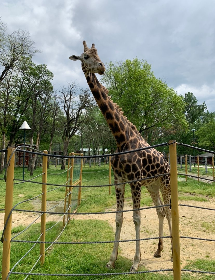 Skopje Zoo
