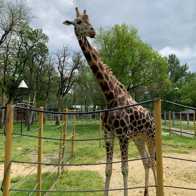 Skopje Zoo