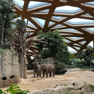 Zoo Zürich