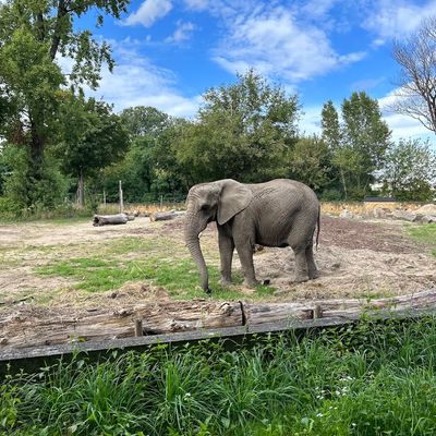 City Zoological Garden in Warsaw
