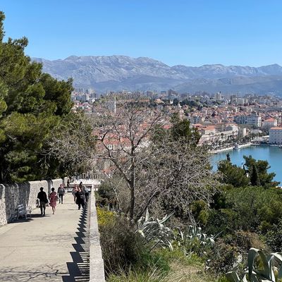 Forest Park Marjan
