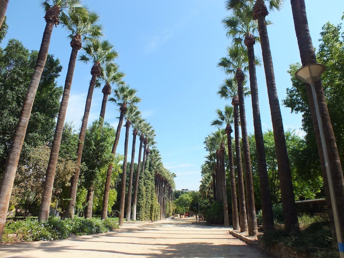 Nicosia municipal gardens
