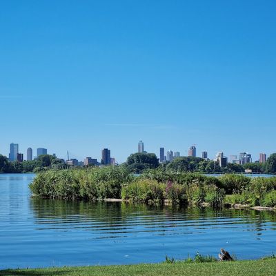 Kralingse Bos