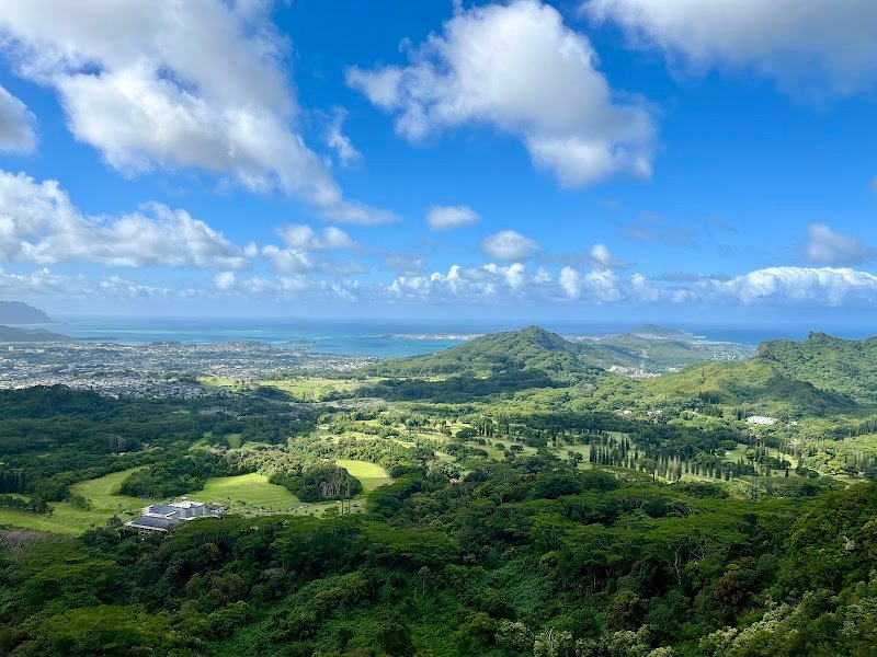 Google Places photo