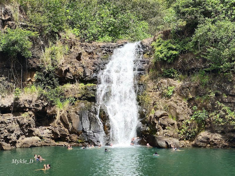 Google Places photo