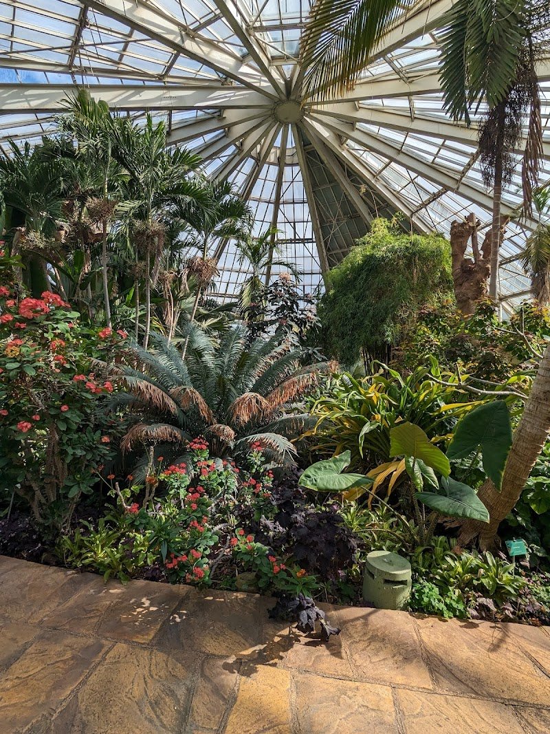 Google Places photo