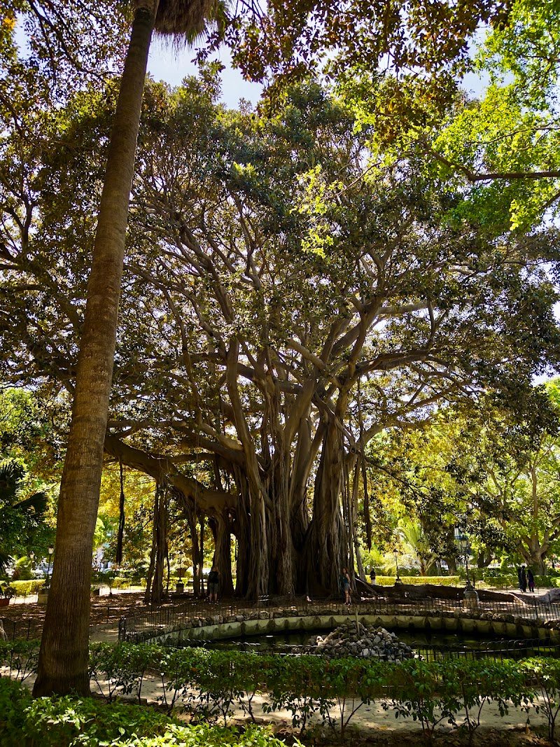 Google Places photo