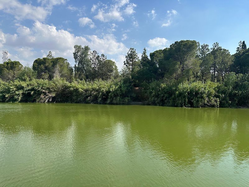Google Places photo