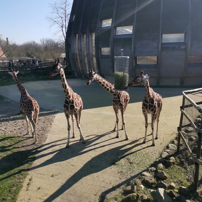 Google Places photo