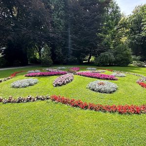 Google Places photo