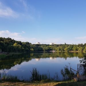 Google Places photo