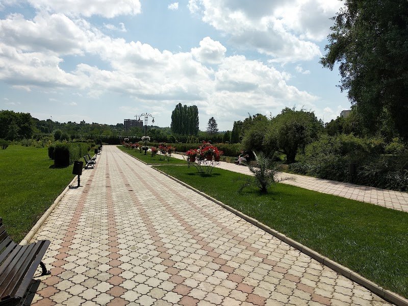 Google Places photo