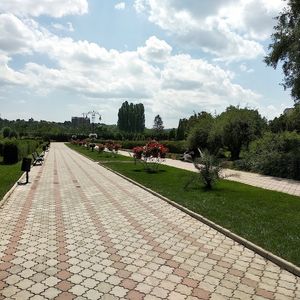 Google Places photo