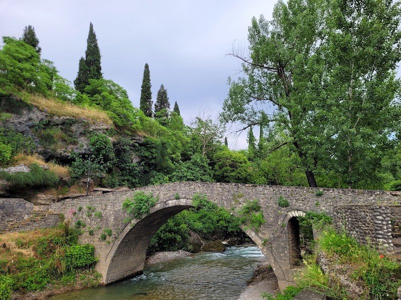 Google Places photo