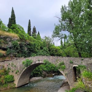 Google Places photo