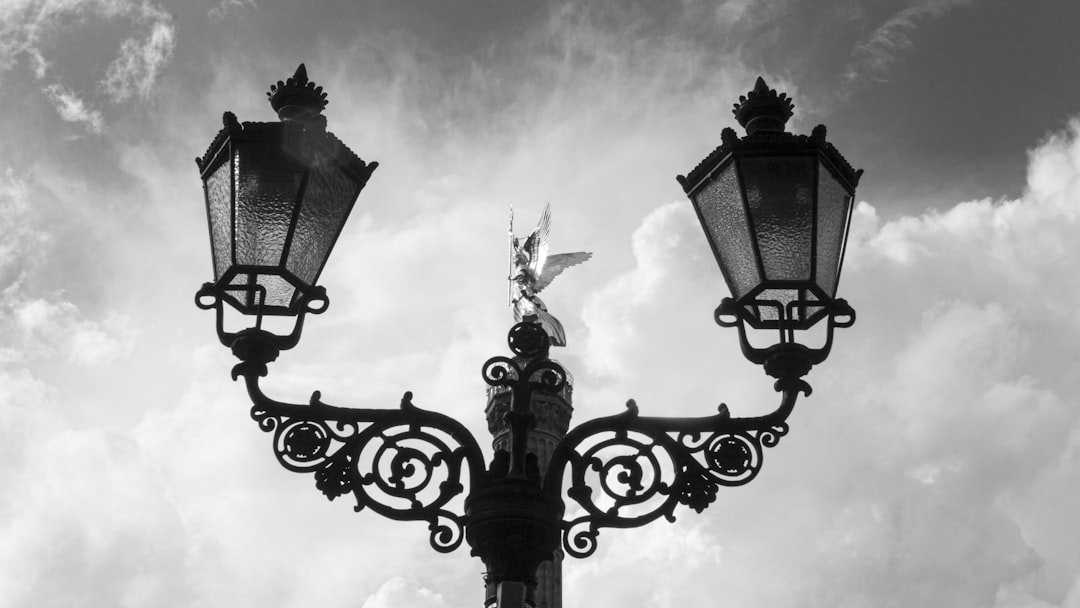 a black and white photo of a street light