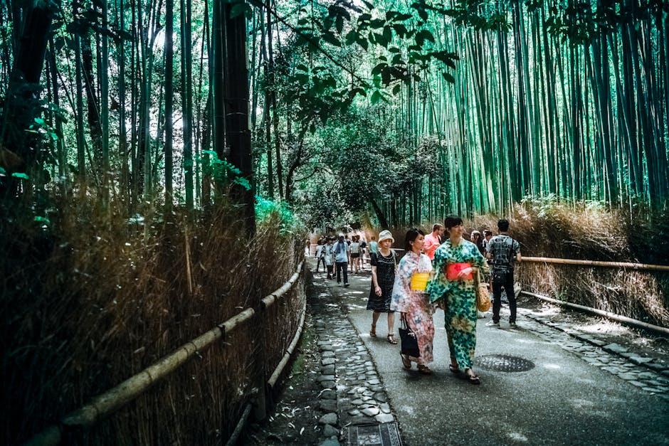 Tourists in traditional attire walk through Japan's iconic Arashiyama bamboo grove, capturing the tranquil essence of Kyoto's natural beauty.