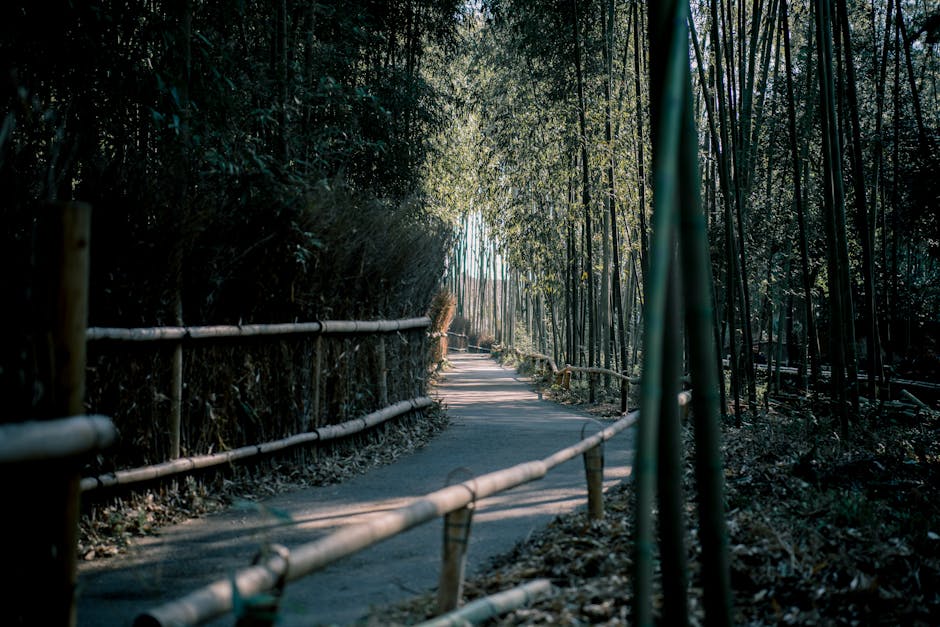 Serene bamboo pathway in Kyoto's Arashiyama, surrounded by lush nature and tranquil light.