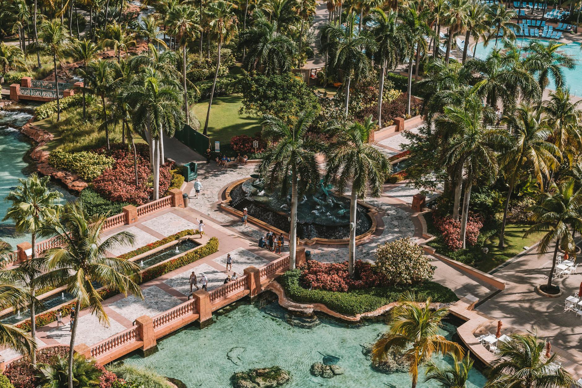 Stunning aerial view of a tropical resort with palm trees and swimming pools in Nassau, Bahamas.