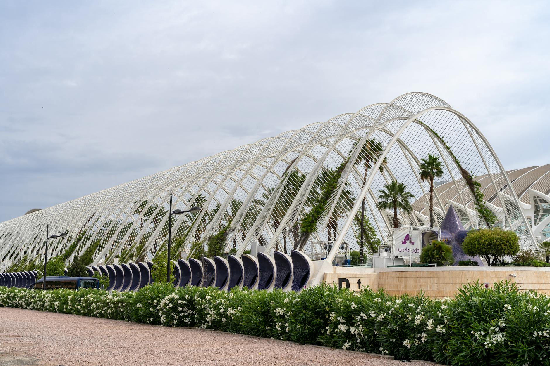 Explore the stunning modern architecture of the Umbracle in Valencia, Spain, showcasing innovative design.