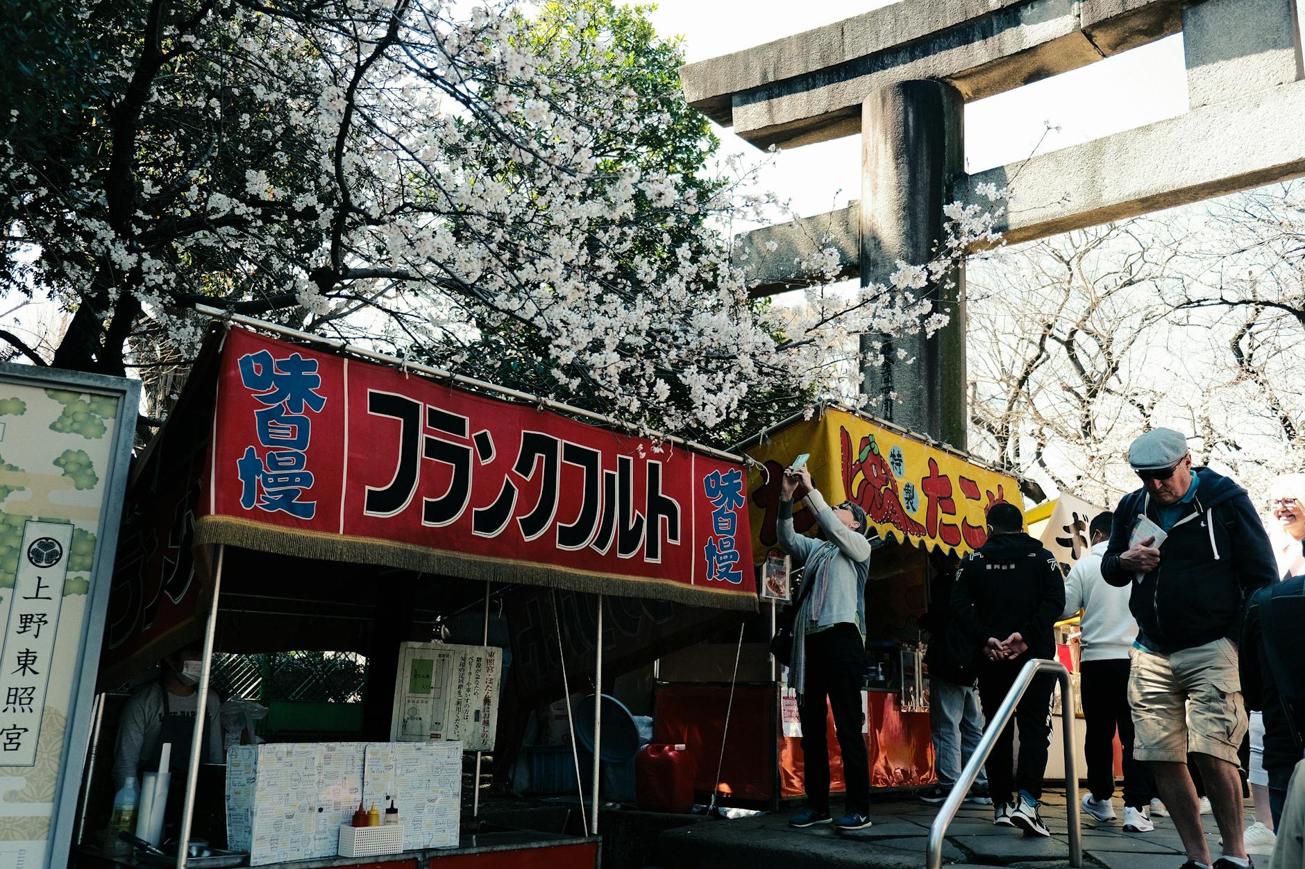 Explore vibrant street food under cherry blossoms in Ueno Park, Tokyo, capturing the essence of spring.