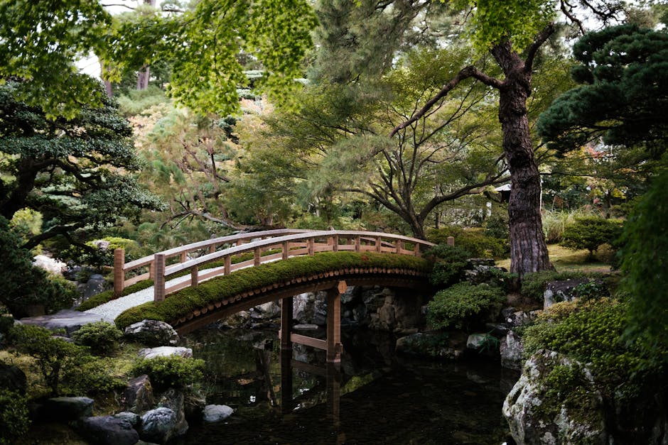 A peaceful arched bridge surrounded by lush greenery in a traditional Kyoto garden.
