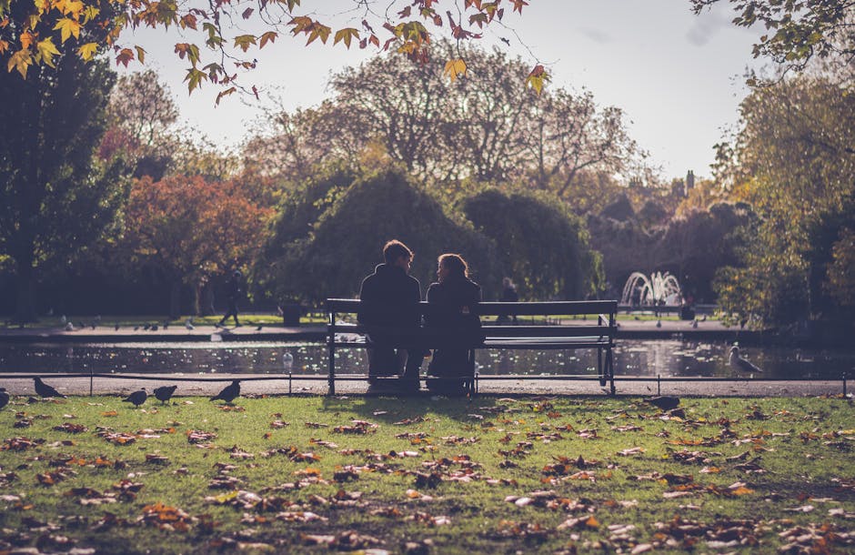 A romantic couple sitting on a park bench in Dublin during autumn with fallen leaves and scenic nature.