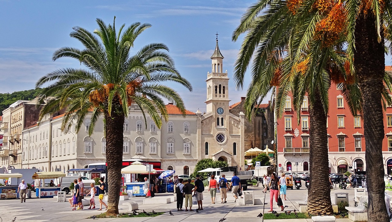 croatia, split, historic center, europe, summer, nature, palm trees