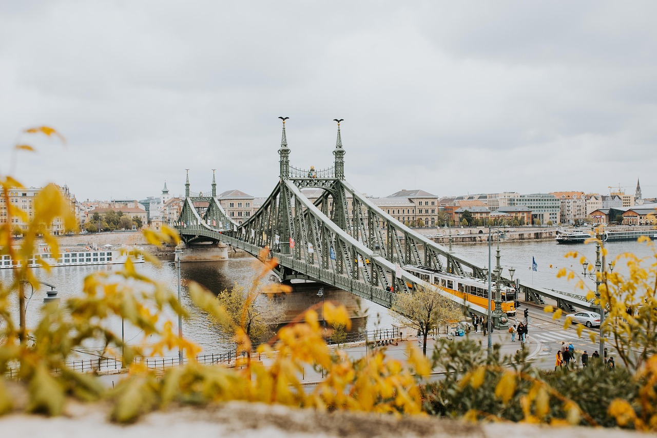 budapest, hungary, river, city, bridge, landscape, urban, yellow, scenery, grey, gray, budapest, budapest, budapest, budapest, hungary, hungary, hungary, hungary, hungary, city