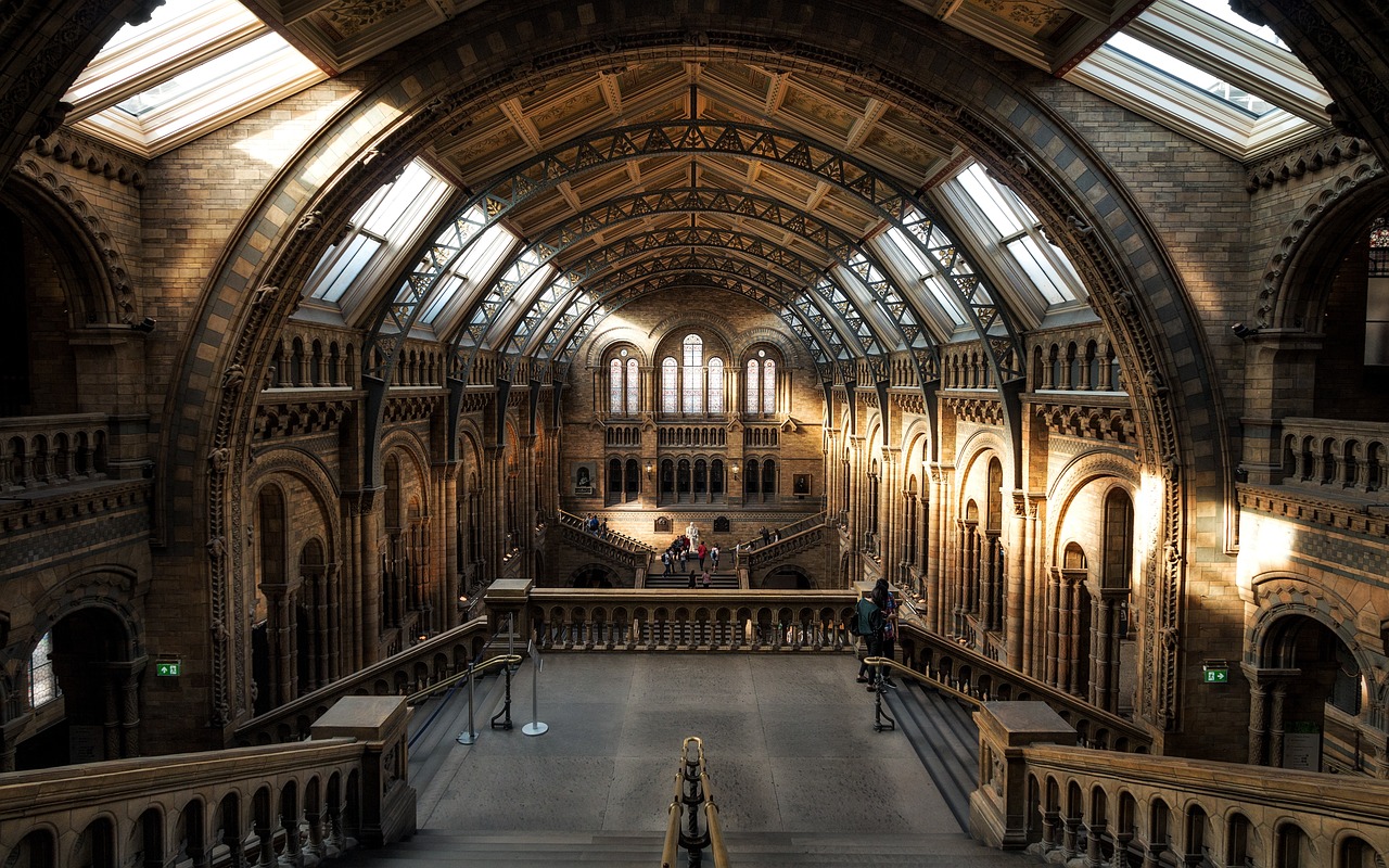 natural history museum, london, interior, arch, stairs, hall, architecture, history, museum, england, united kingdom, london, london, london, london, history, museum, museum, museum, museum, museum