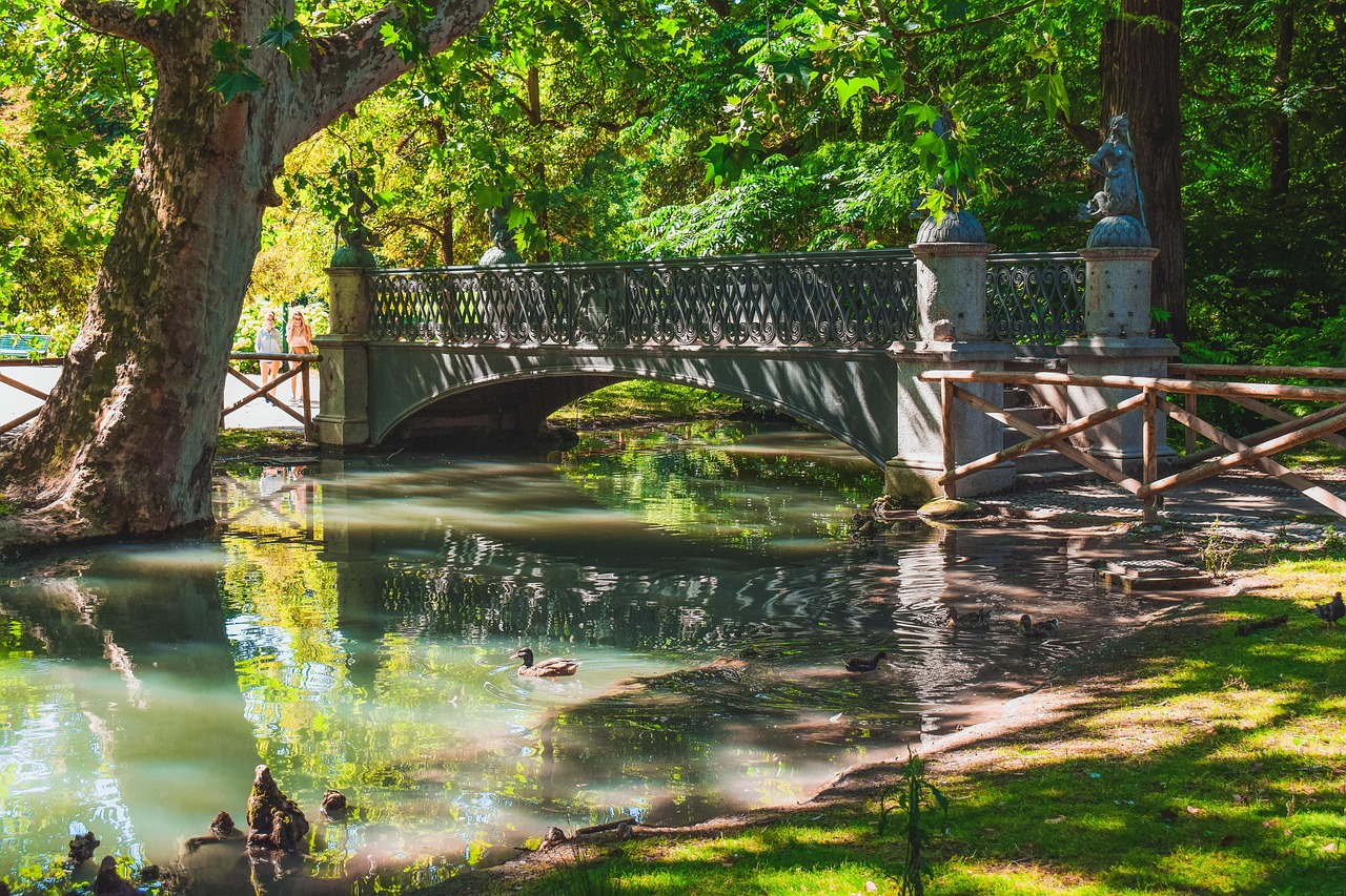 bridge, park, lake, forest, morning, sunshine, landscape, nature, pond, idyllic, reflection, trees, green, scenic, scenery, parco sempione, milan, milano, italy, parco sempione, milan, milan, milan, milan, milan, milano, milano