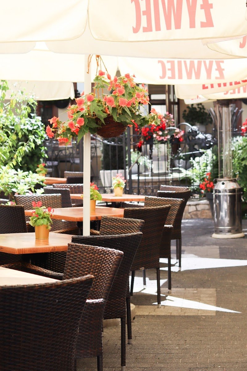 Czarna Kaczka / Black Duck