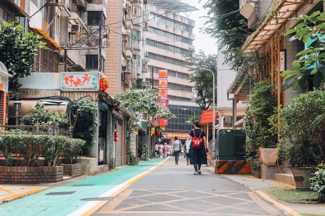 people walking on pedestrian lane during daytime
