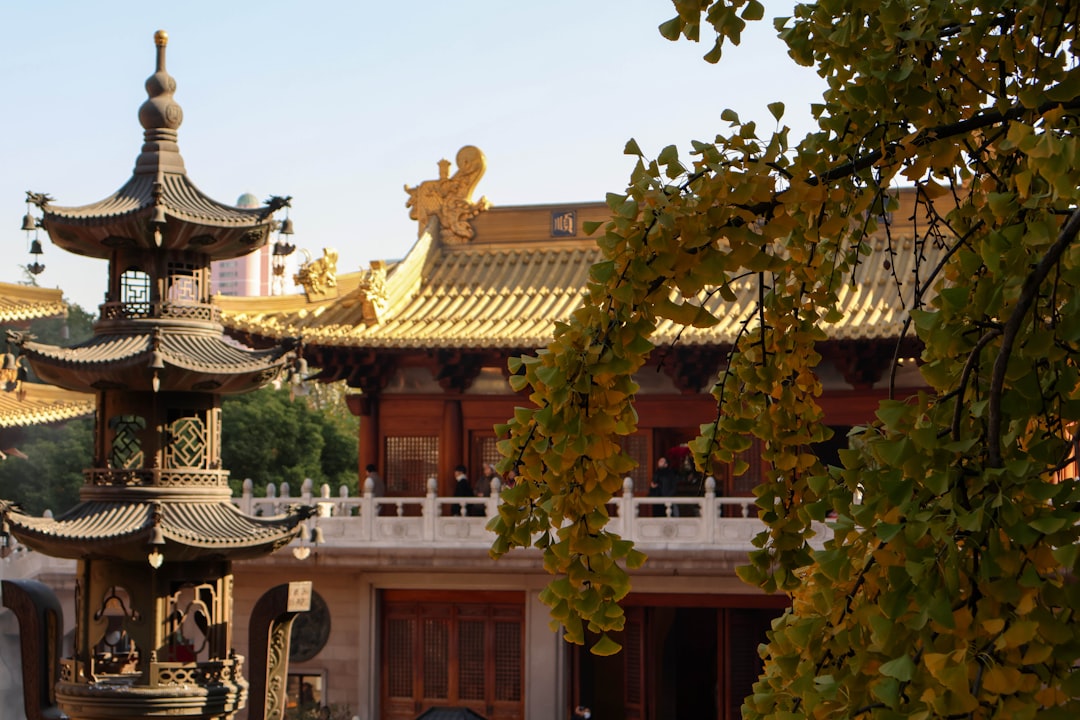 Traditional temple architecture with autumn foliage