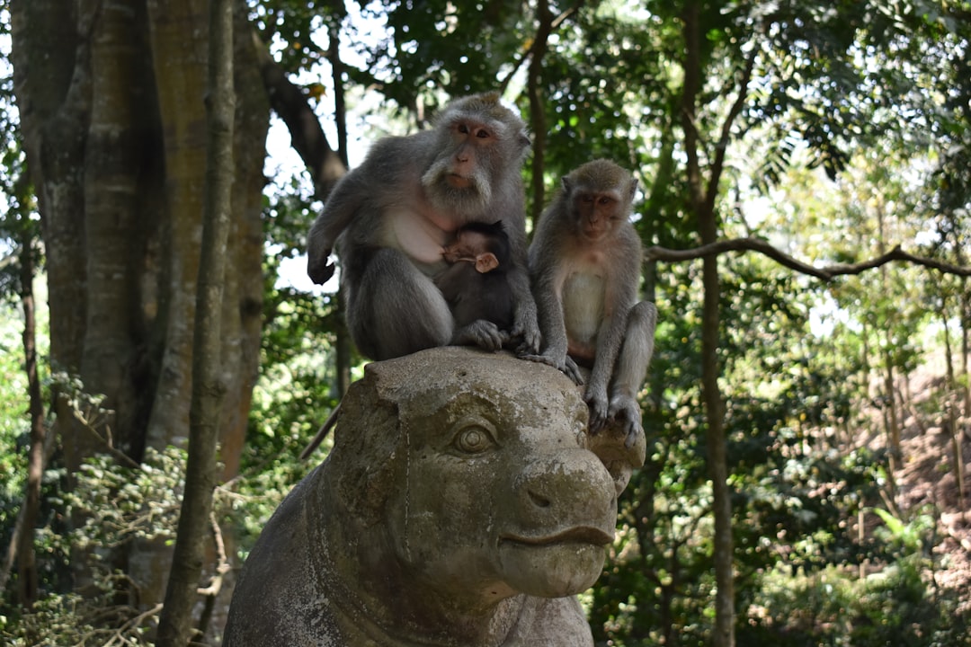 two monkeys sitting on animal statue