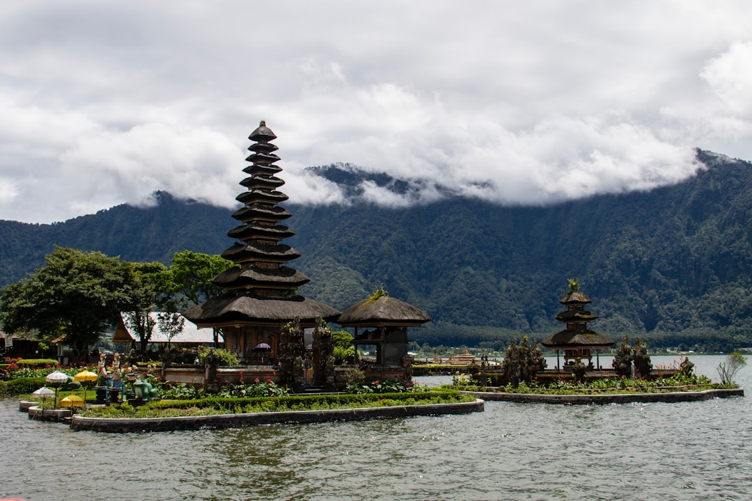 house and canopies on islet during daytime