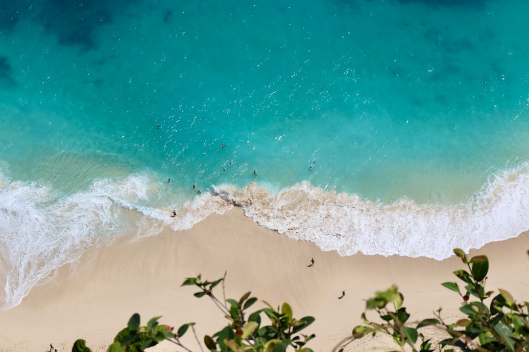 an aerial view of a beach with people in the water