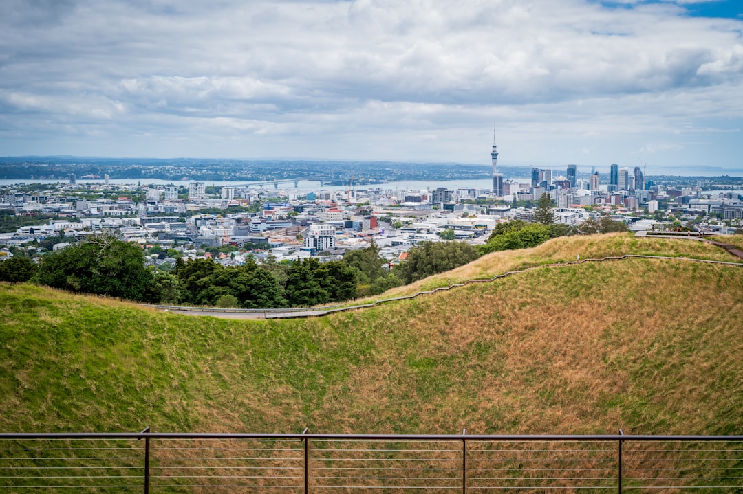 a view of a city from the top of a hill