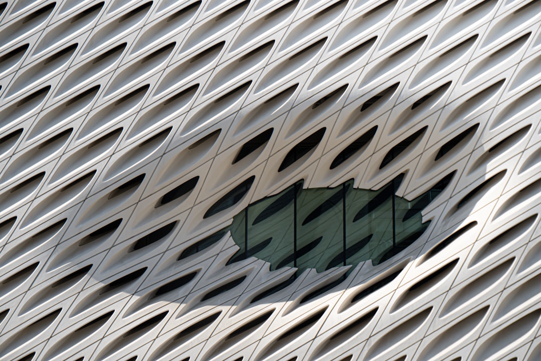 a reflection of a fish on a building