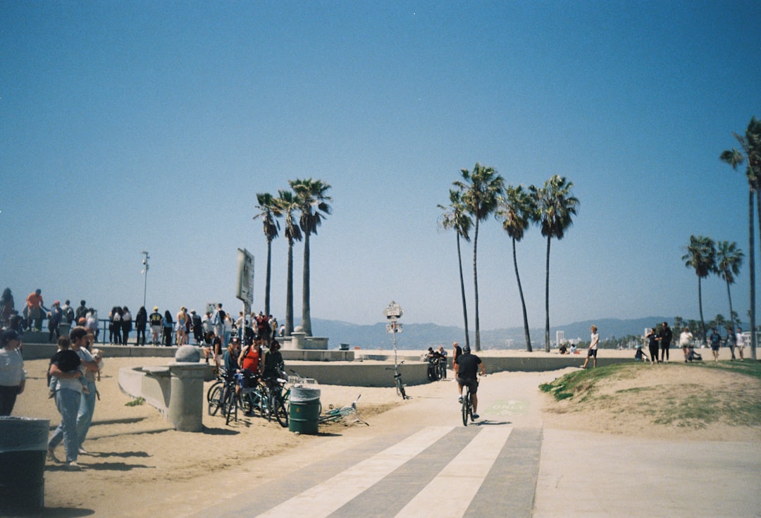 a group of people standing on a beach next to palm trees